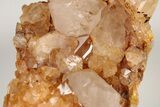 Sunshine Cactus Quartz Crystal Cluster - South Africa #191799-2